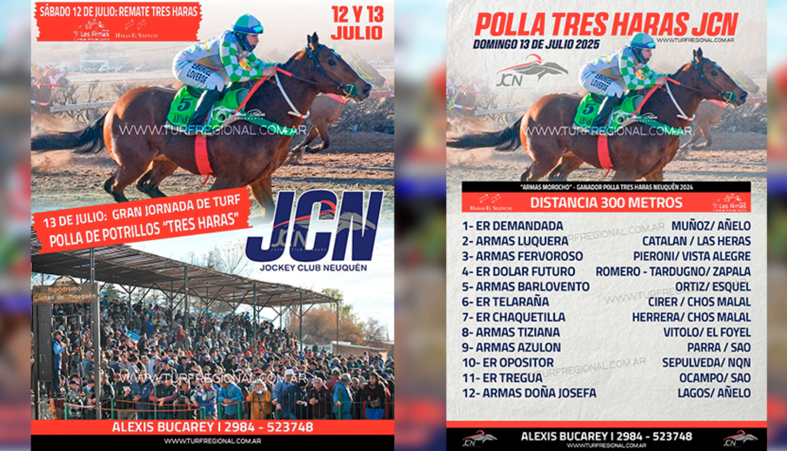 armas dona josefa