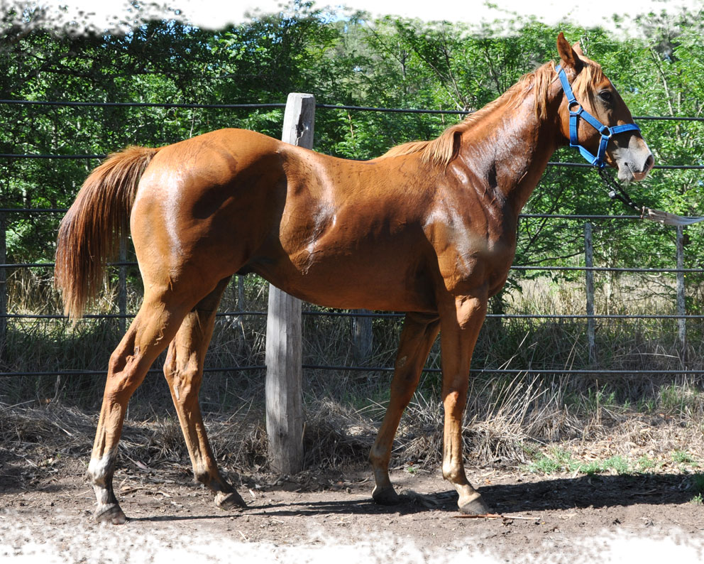 Cartel Blue y Armas Y Es Ella