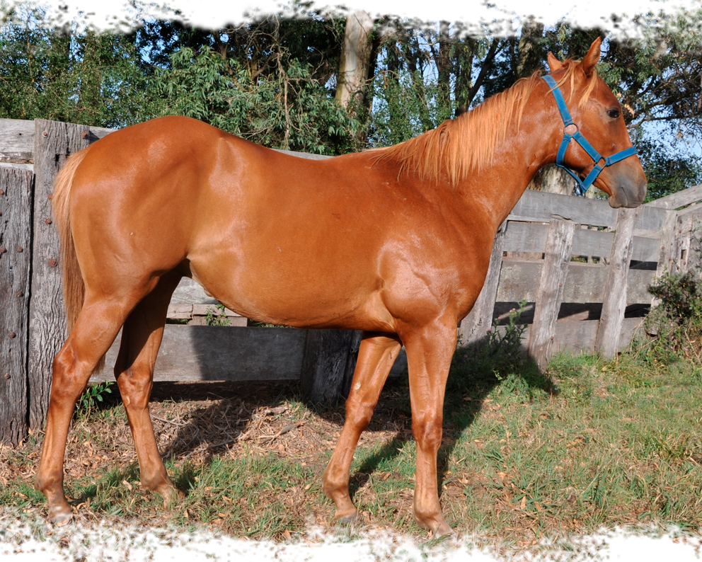 Identity Blue y Signed To Fame Dash