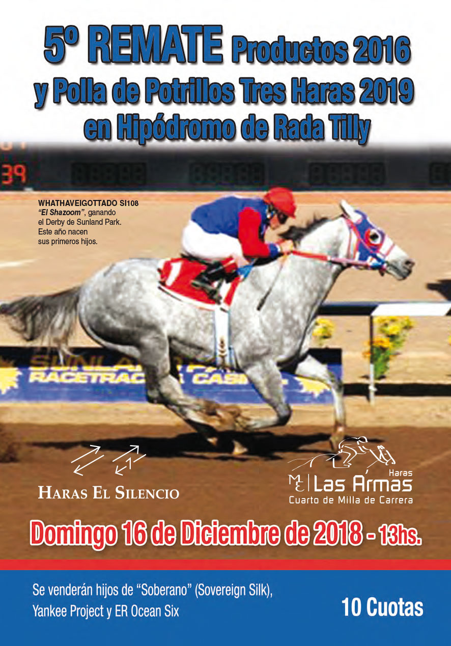 5to. Remate Productos 2016 y Polla de Potrillos Tres Haras 2019 en Hipódromo de Rada Tilly