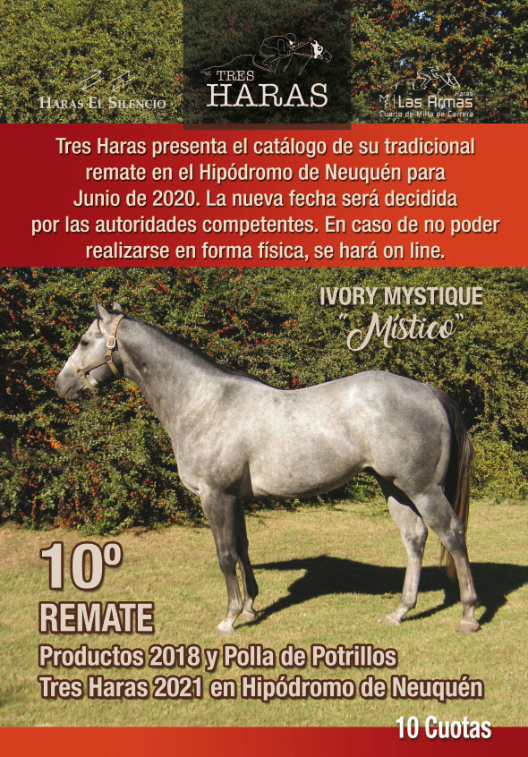 10mo. Remate Productos 2018 y Polla de Potrillos Tres Haras 2021 en Hipódromo de Neuquén