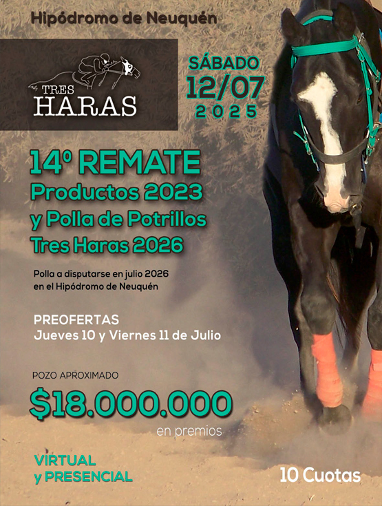 Remate en Neuquen 2025