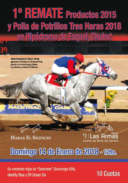 1er. Remate Productos 2015 y Polla de Potrillos Tres Haras 2018 en Hipódromo de Esque, Chubut