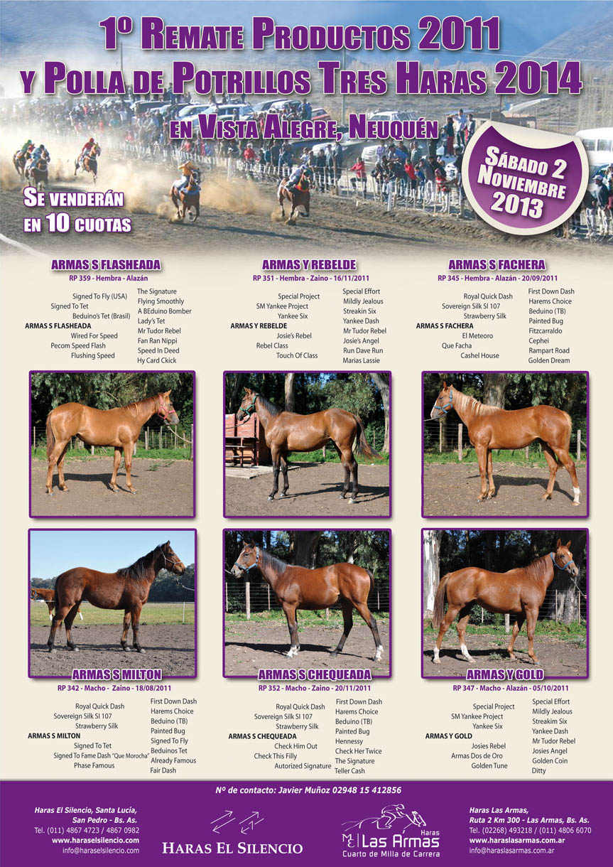 1er. Remate Productos 2011 y Polla de Potrillos Tres Haras 2014 en Vista Alegre